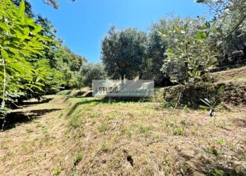 Foto 8 - Terreno edificabile via vecchia provinciale, Camaiore - foto 8