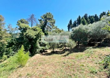 Foto 9 - Terreno edificabile via vecchia provinciale, Camaiore - foto 9