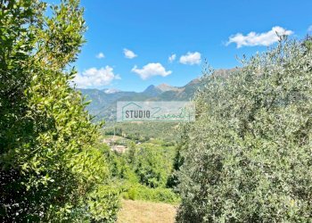 Foto 13 - Terreno edificabile via vecchia provinciale, Camaiore - foto 13