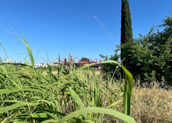 Foto 1 - Terreno edificabile Grosseto - foto 1