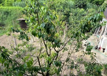 Terreno - Villa via Giovan Battista Scapaccino, Incisa Scapaccino - foto 4