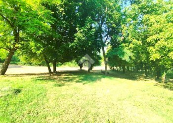 Casa indipendente Via Fageto, Roncofreddo - foto 8