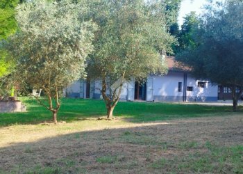 Casa indipendente Via Fageto, Roncofreddo - foto 10