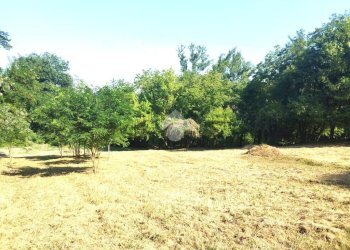 Casa indipendente Via Fageto, Roncofreddo - foto 13