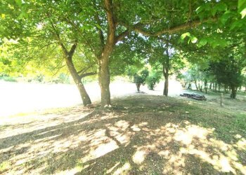 Casa indipendente Via Fageto, Roncofreddo - foto 16