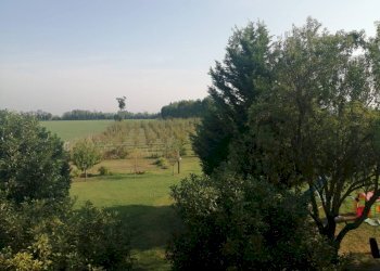 Agricultural land Parma - photo 9