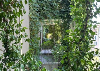 Appartamento Parma - foto 8