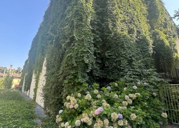 Appartamento Parma - foto 31