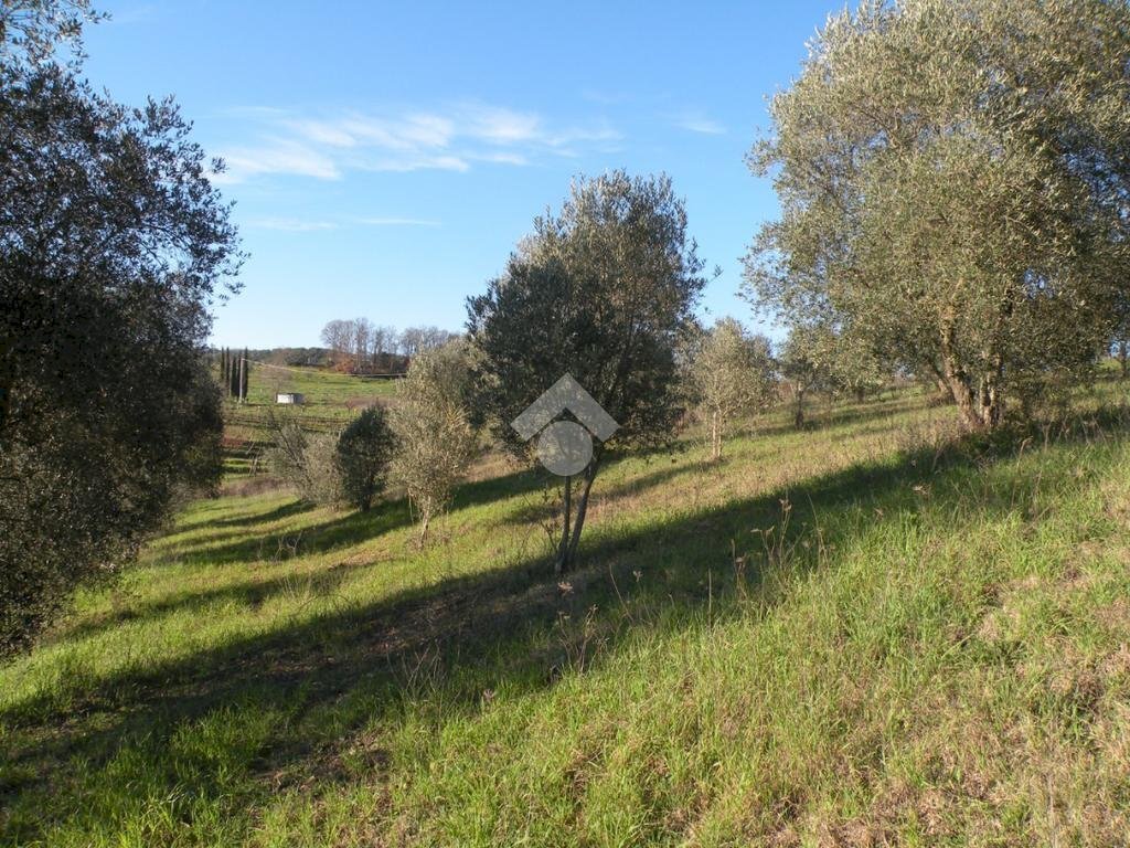 Building land Loc. Montorsi, Grosseto - photo 1