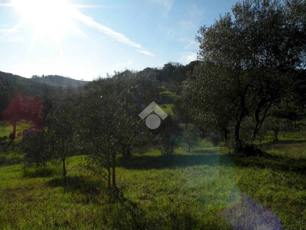 Building land Loc. Montorsi, Grosseto - photo 2