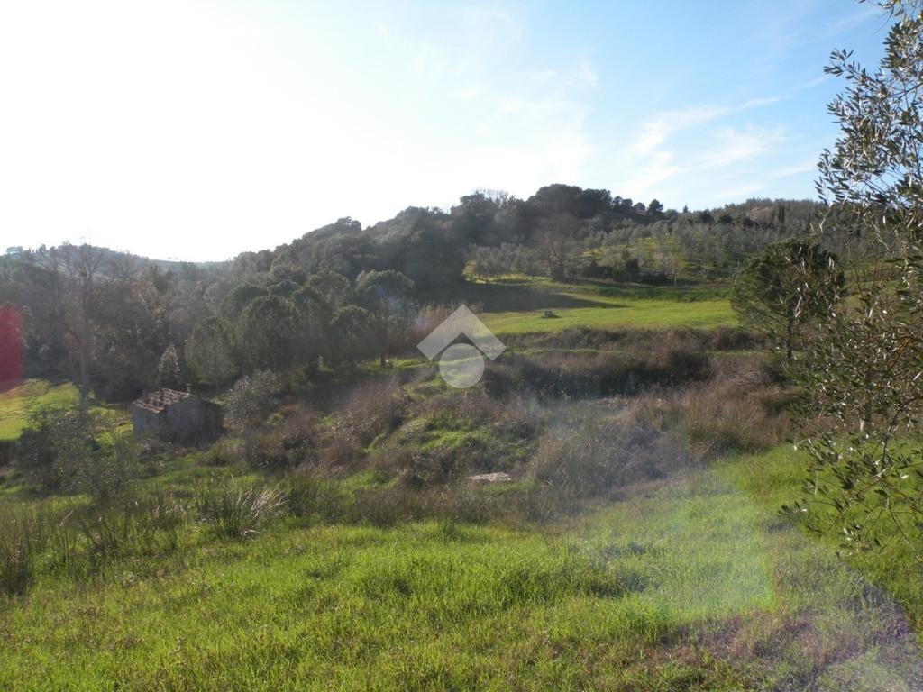 Building land Loc. Montorsi, Grosseto - photo 3