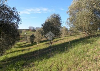 Building land Loc. Montorsi, Grosseto - photo 1