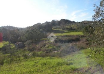 Building land Loc. Montorsi, Grosseto - photo 3