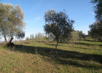 Building land Loc. Montorsi, Grosseto - photo 5