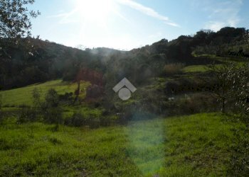 Building land Loc. Montorsi, Grosseto - photo 6