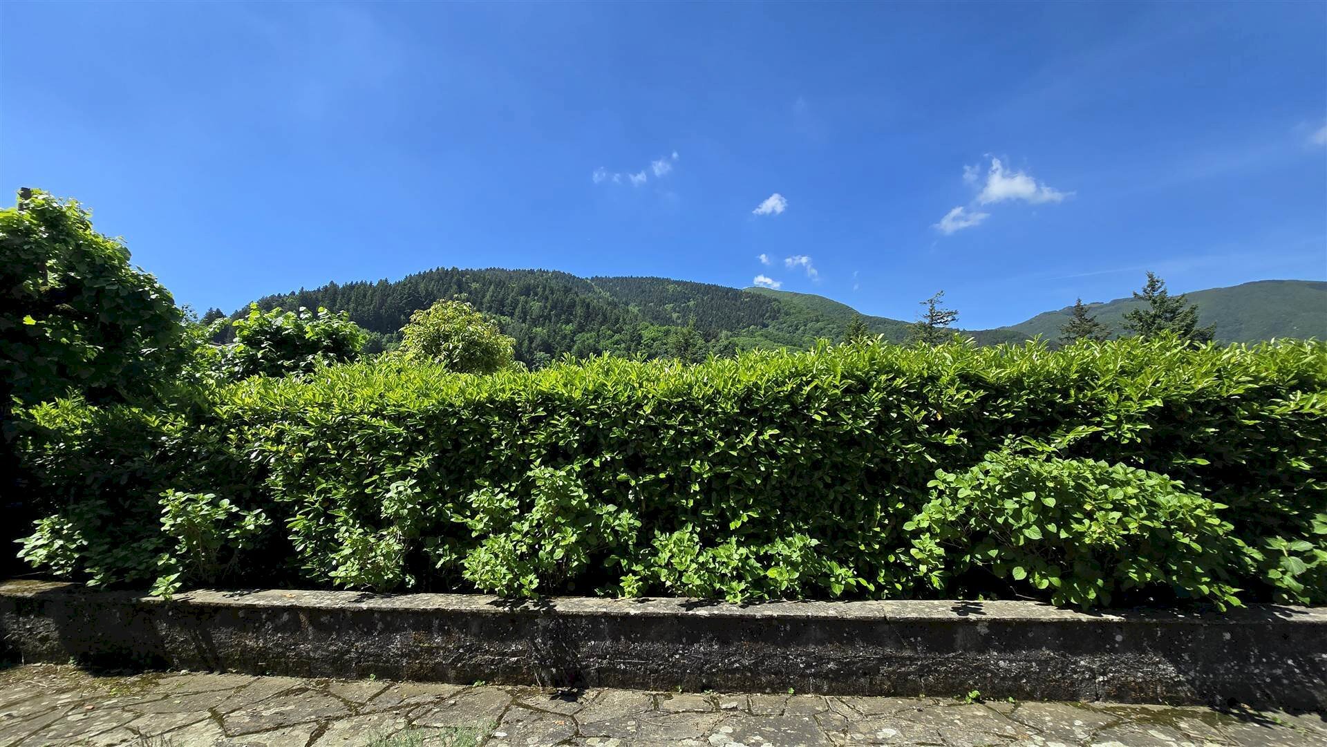 Semi-detached Villa Sestola - photo 2