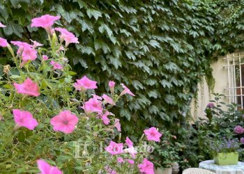 Foto 53 - Villa piazza Repubblica, Vicopisano - photo 53