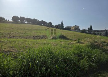 Foto 5 - Terreno agricolo Via Posillipo, San Benedetto del Tronto - foto 5
