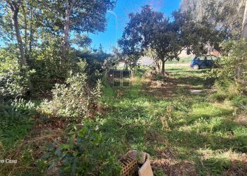 Foto 7 - Rustico Via Civita, Colonnella - foto 7