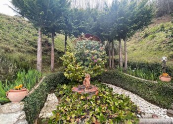 Giardino - Villa Bagni di Lucca - foto 43