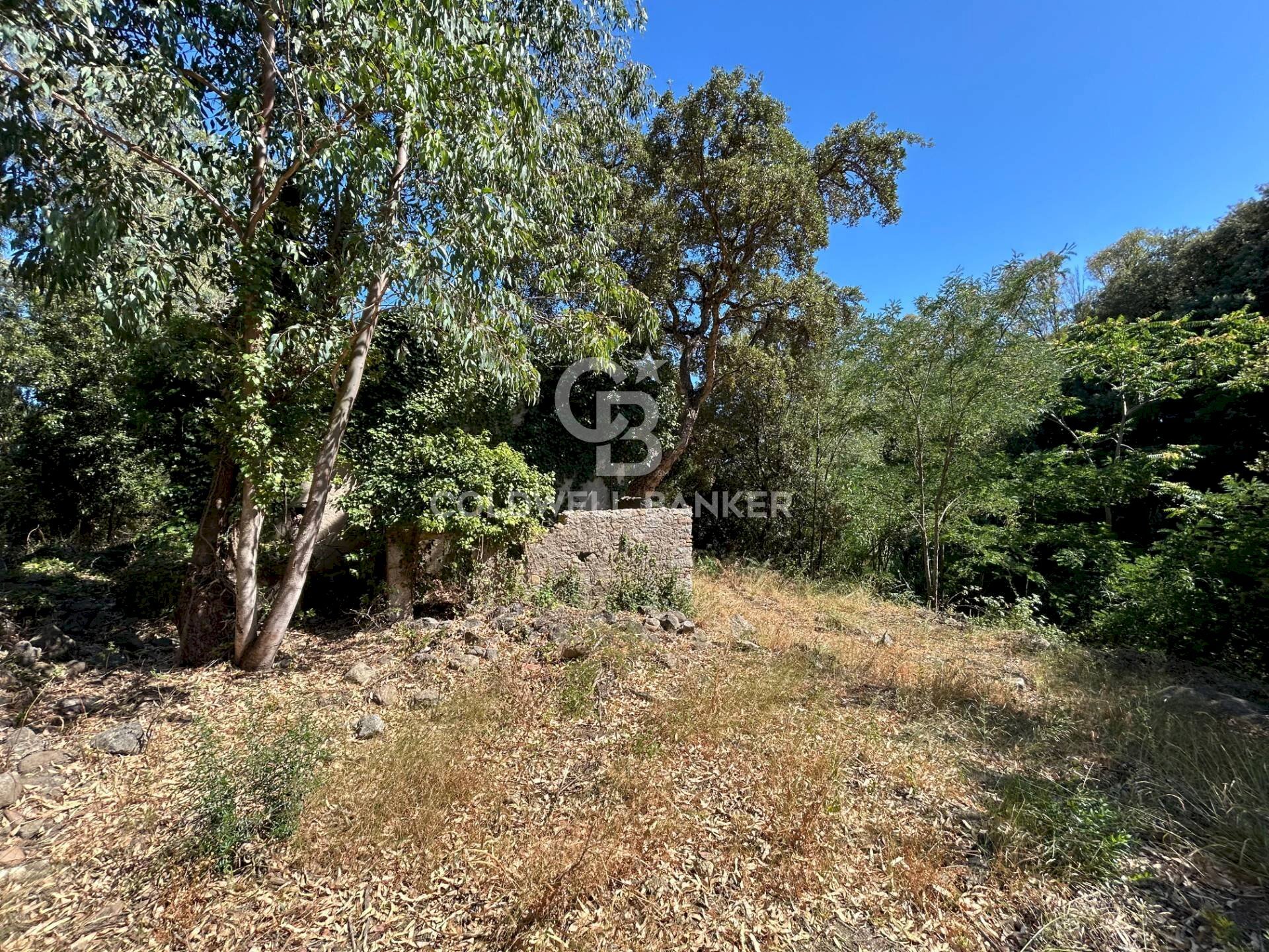 Foto 3 - Rustic Via Pian di Mezzo, Campo nell'Elba - photo 3