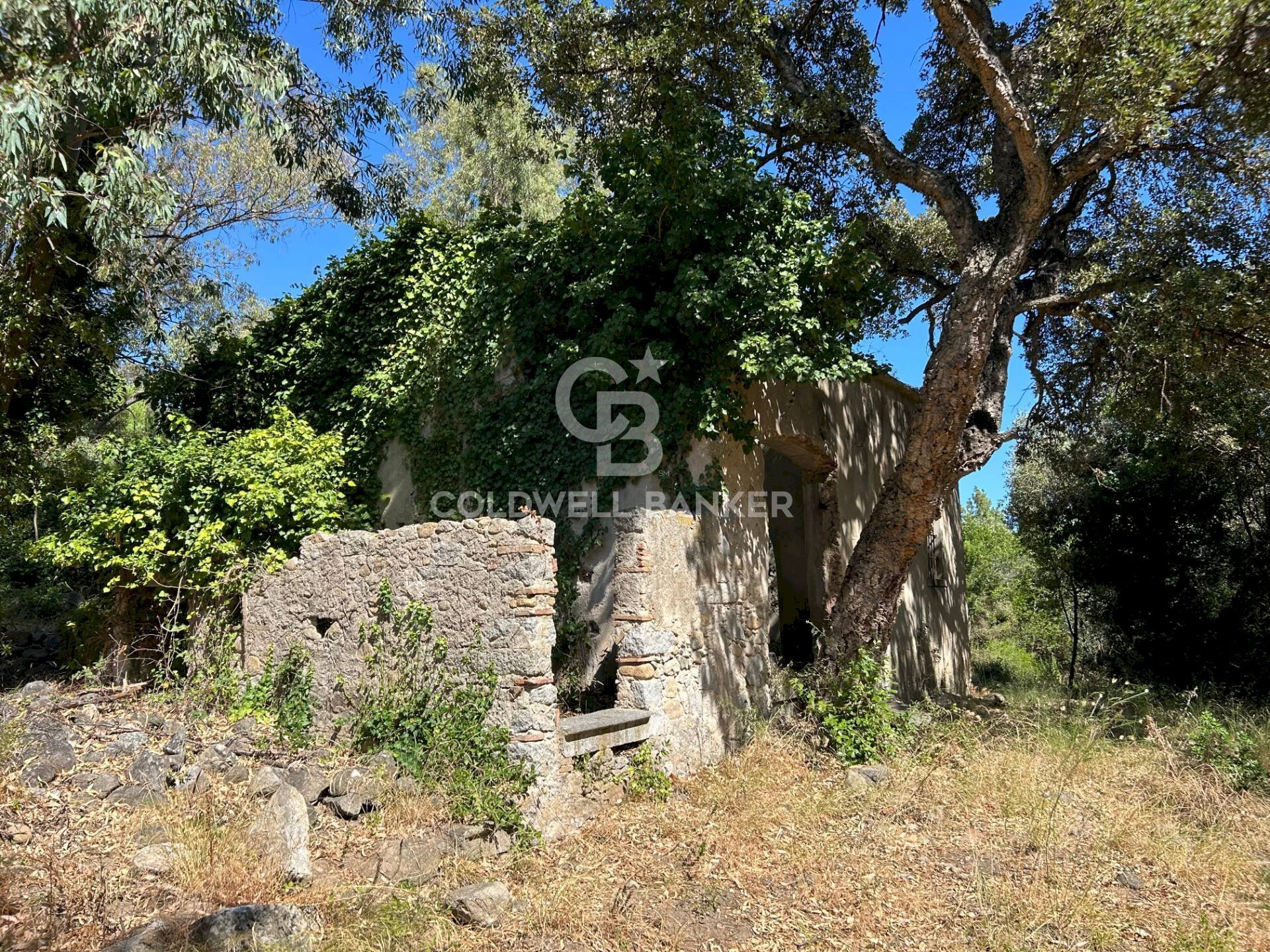 Foto 1 - Rustico Via Pian di Mezzo, Campo nell'Elba - foto 1