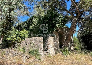 Foto 2 - Rustico Via Pian di Mezzo, Campo nell'Elba - foto 2