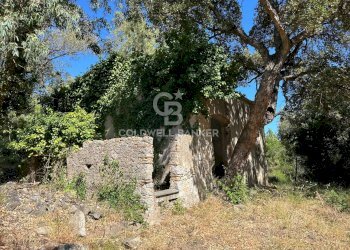 Foto 5 - Rustico Via Pian di Mezzo, Campo nell'Elba - foto 5