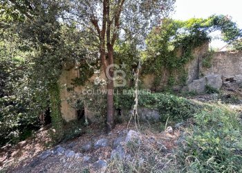 Foto 6 - Rustico Via Pian di Mezzo, Campo nell'Elba - foto 6