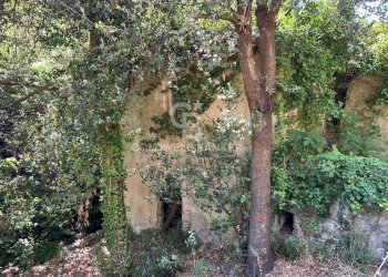 Foto 7 - Rustico Via Pian di Mezzo, Campo nell'Elba - foto 7