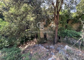 Foto 8 - Rustico Via Pian di Mezzo, Campo nell'Elba - foto 8