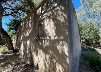 Foto 9 - Rustico Via Pian di Mezzo, Campo nell'Elba - foto 9