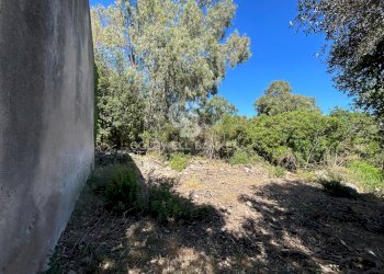 Foto 10 - Rustico Via Pian di Mezzo, Campo nell'Elba - foto 10