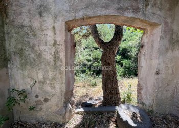 Foto 11 - Rustico Via Pian di Mezzo, Campo nell'Elba - foto 11