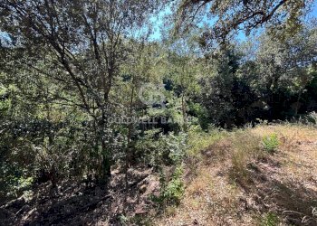 Foto 12 - Rustico Via Pian di Mezzo, Campo nell'Elba - foto 12