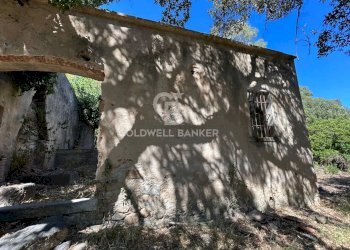 Foto 17 - Rustico Via Pian di Mezzo, Campo nell'Elba - foto 17