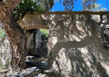 Foto 16 - Rustico Via Pian di Mezzo, Campo nell'Elba - foto 16