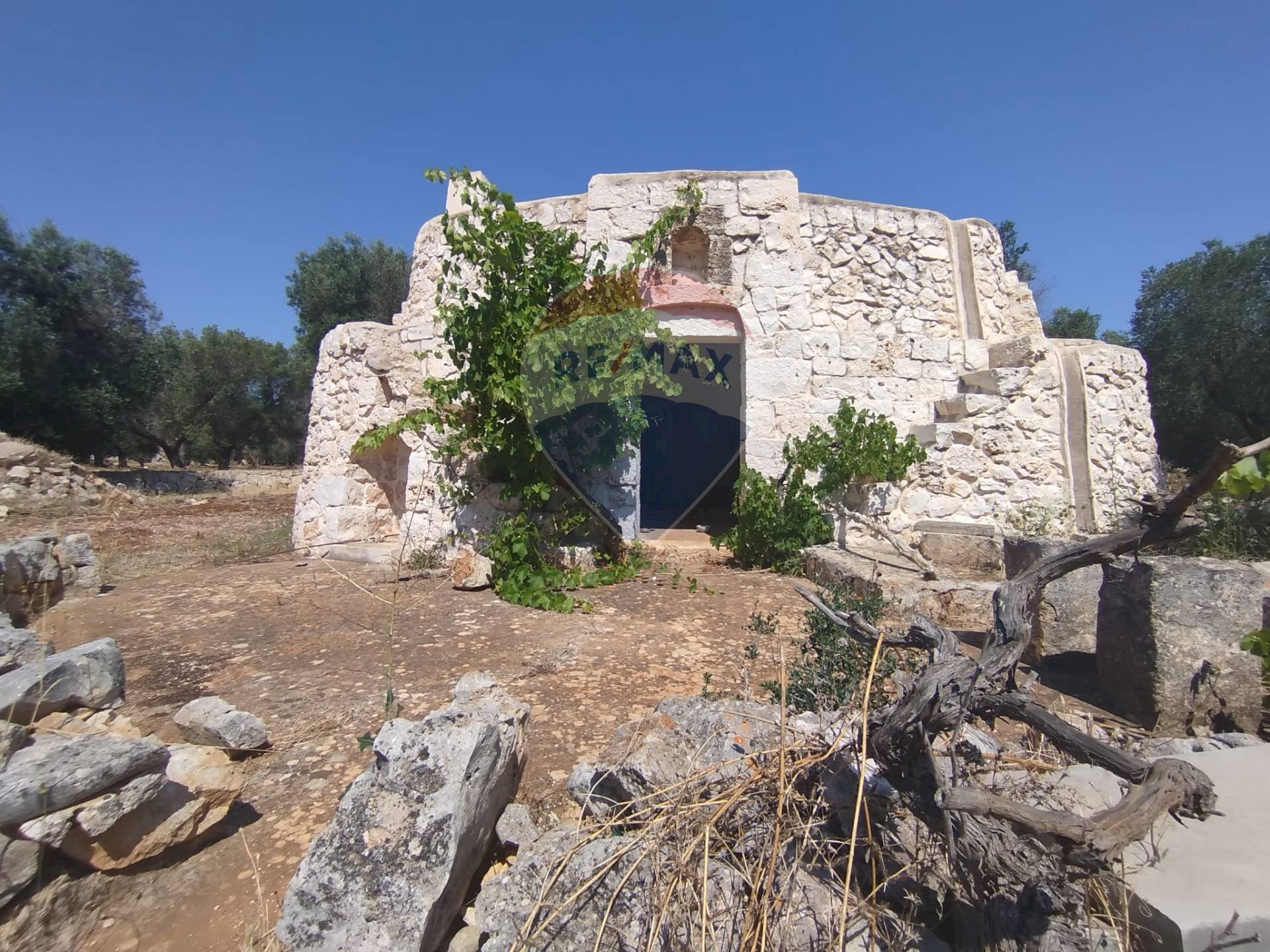 Giardino - Baita Contrada Matteopati
 
snc, Carovigno - photo 2