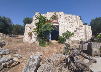 Giardino - Baita Contrada Matteopati
 
snc, Carovigno - foto 2