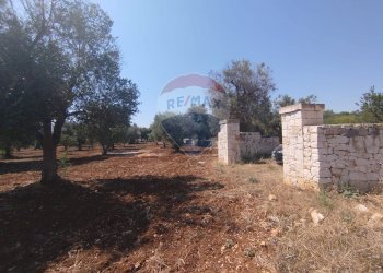 Giardino - Baita Contrada Matteopati
 
snc, Carovigno - foto 14