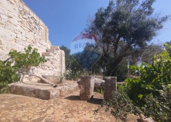 Giardino - Baita Contrada Matteopati
 
snc, Carovigno - foto 18