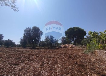 Non correlato - Baita Contrada Matteopati
 
snc, Carovigno - foto 19