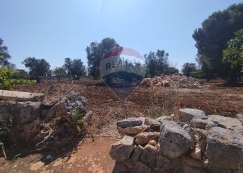 Giardino - Baita Contrada Matteopati
 
snc, Carovigno - foto 20