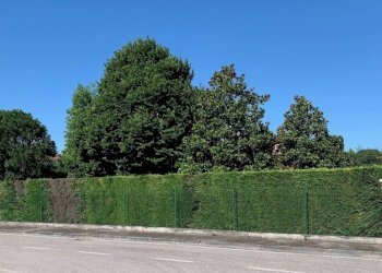 Zona - Terreno edificabile via dei Partigiani, 5/A, Valeggio sul Mincio - foto 5