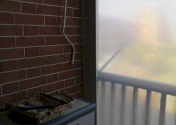 Balcone - Quadrilocale via Augusto Monti, 67, Asti - foto 17