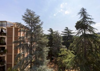 Vista 4. - Bilocale via Padre Alberto Grammatico, Roma (zona Mostacciano) - foto 24