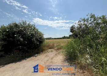 Rustico Bra - foto 5