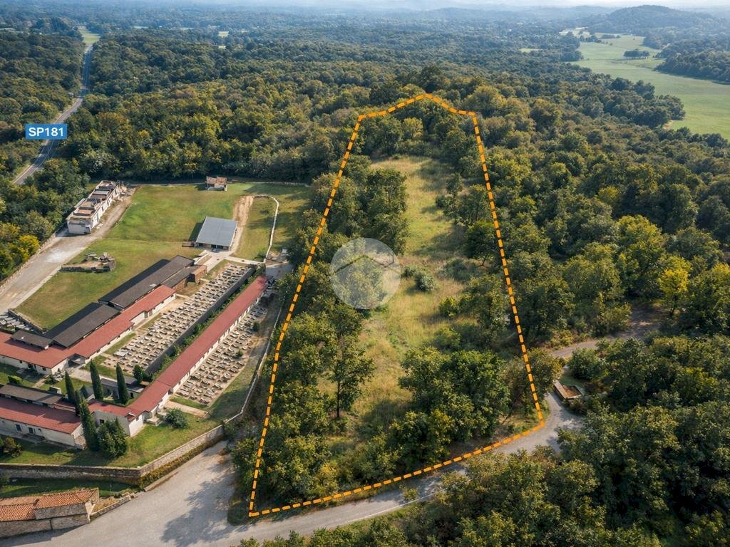 Terreno agricolo Via dei Caduti, Givoletto - foto 2