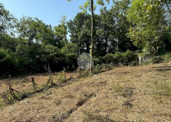 Terreno agricolo Via dei Caduti, Givoletto - foto 4