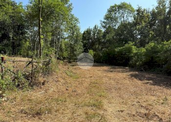 Terreno agricolo Via dei Caduti, Givoletto - foto 5